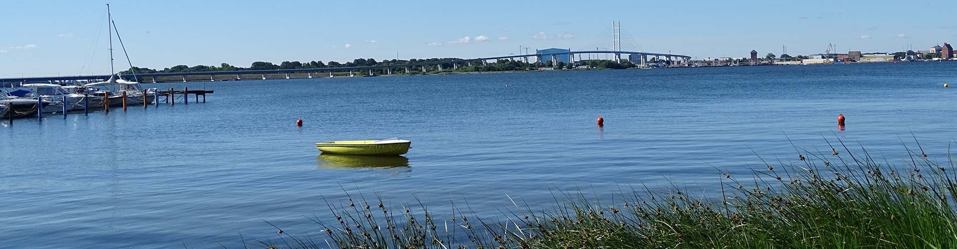 Blick von der Marina auf die Rügenbrücke